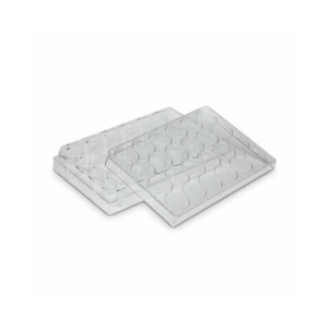 Placa para Cultivo de Celulas 24 Pocos Fundo Chato com Tampa Embalagem Individual