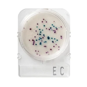 Teste Rápido Microbiológico Compact Dry Coliformes e E. Coli Ec
