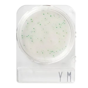 Teste Rápido Microbiológico Compact Dry Bolores e Leveduras Rápido Ymr