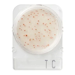 Teste Rápido Microbiológico Compact Dry Bactérias Totais Tc